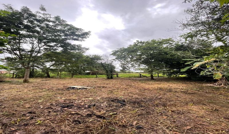 VENDO FINCA EN TAURAMENA